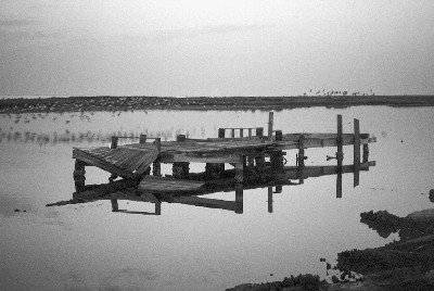 Derelict pier, Galveston Island, Texas