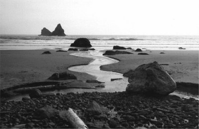 Oregon coast